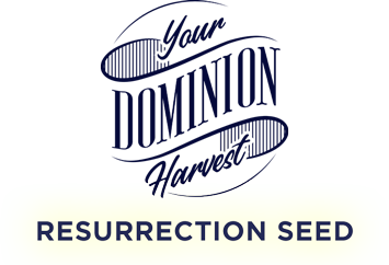 Resurrection Seed - Your Dominion Harvest