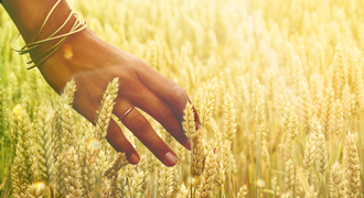 Your Dominion Harvest