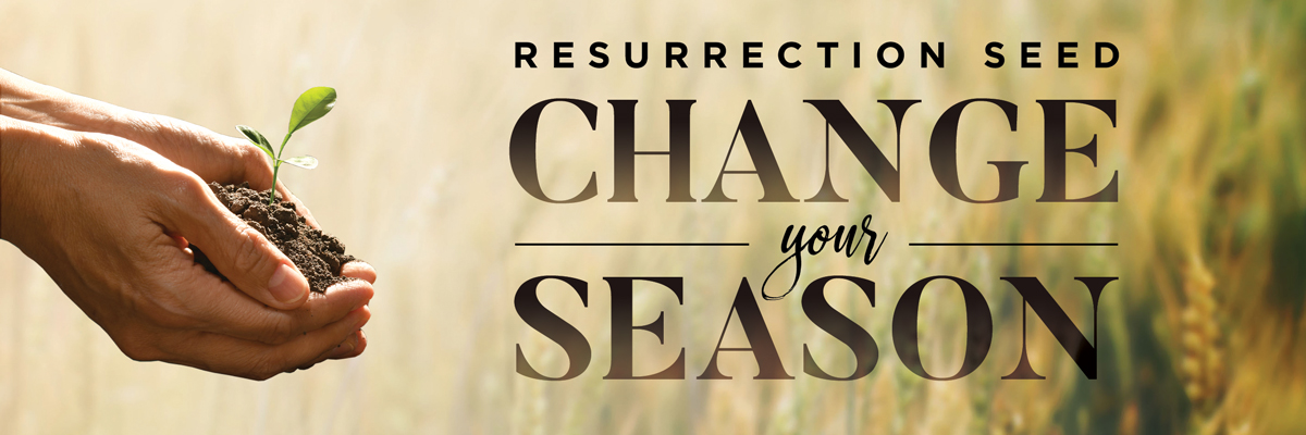 >>Resurrection Seed<<  Change Your Season!
