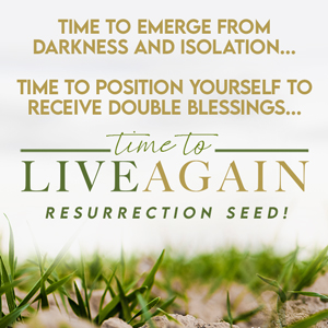 Res Seed 2022