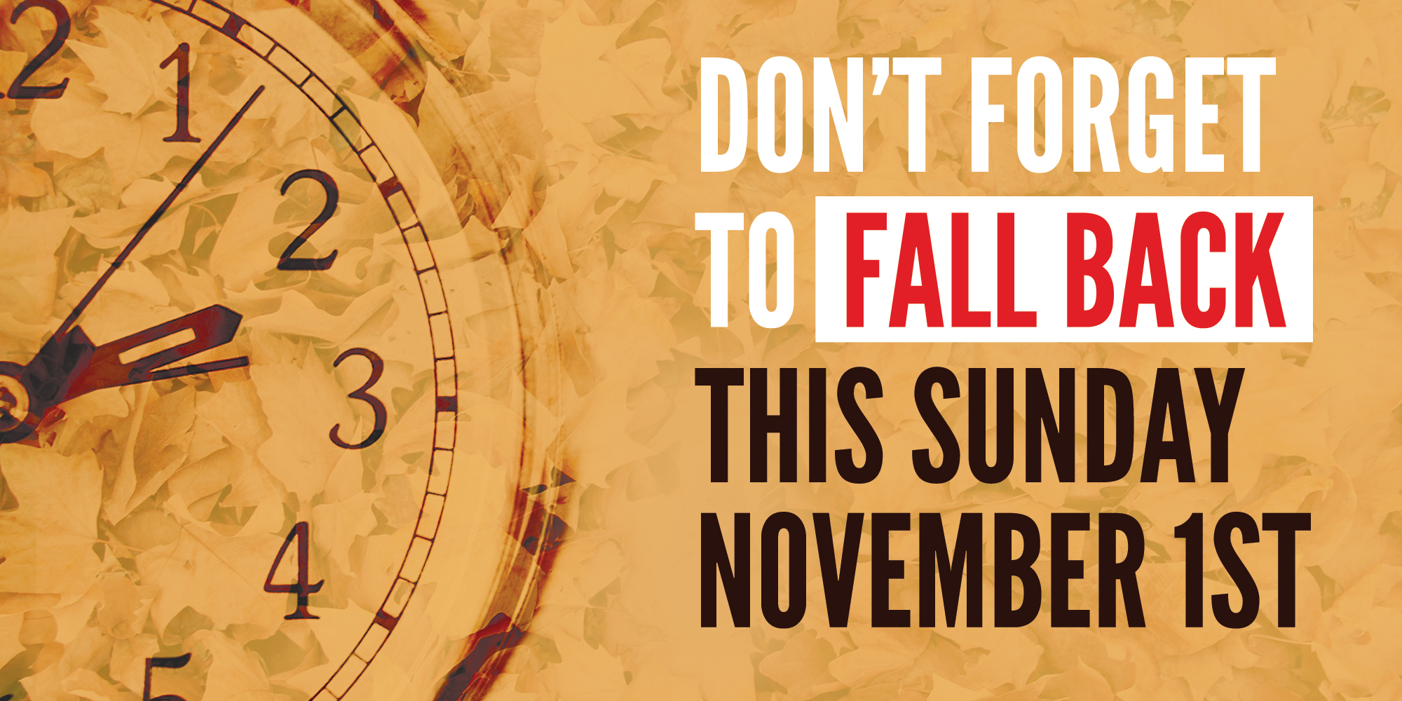Don't Forget To Fall Back This Sunday November 1st