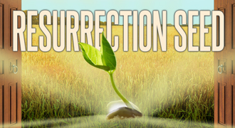 Resurrection Seed 2014 - Receive Your Perfect Harvest!