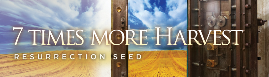Resurrection Seed • 7 TIMES MORE HARVEST!