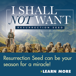 Res Seed 2023